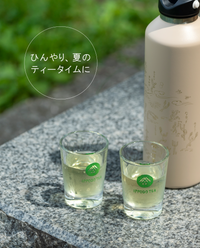 【数量限定】Tea to go ボトルM・ごくごく